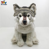 Peluche Loup Arctique