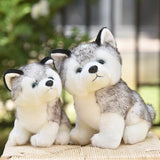 Peluche Loup Gris
