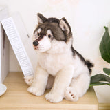 Peluche Loup Husky