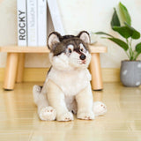 Peluche Chien Husky