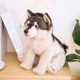 Peluche loup husky Blanc