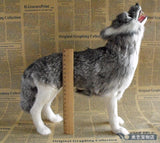 Peluche Loup Husky